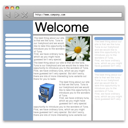 browser